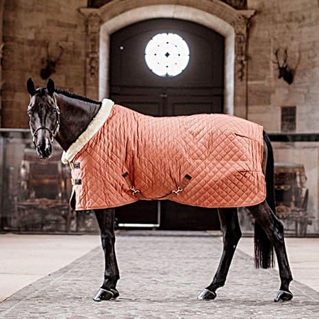 乗馬用品　馬着 乗馬用品 網馬着 Saxon